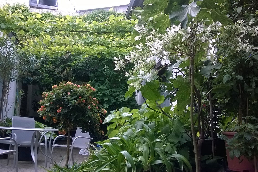 Grüner Innenhof Haus Leisch-Kreutz – Ferienwohnungen Bruttig-Fankel