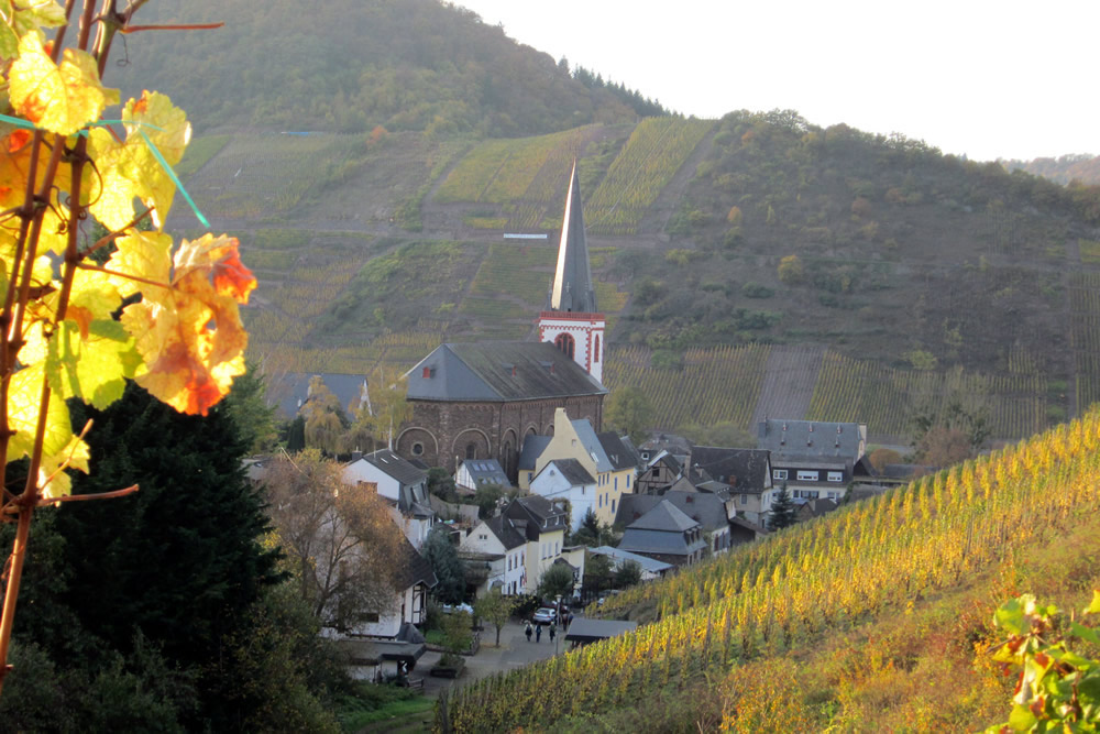 Bruttig-Fankel an der Mosel – Ferienort mit Weinbergen und Moselblick