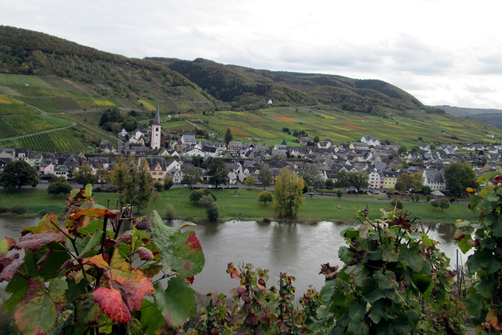 Herbstlicher Blick über die Mosel auf Bruttig-Fankel – Ferienwohnungen Leisch-Kreutz