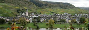 Blick über die Mosel auf Bruttig-Fankel – Urlaub an der Mosel