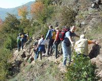 Calmont-Klettersteig – steilster Weinbergsklettersteig Europas, 17 km von Bruttig-Fankel